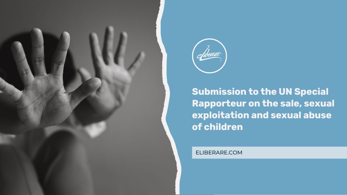 Submission to the UN Special Rapporteur on the sale, sexual exploitation and sexual abuse of children